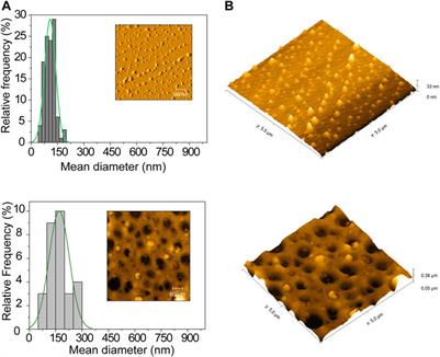 Development of a Mosquito Repellent Formulation Based on Nanostructured Lipid Carriers